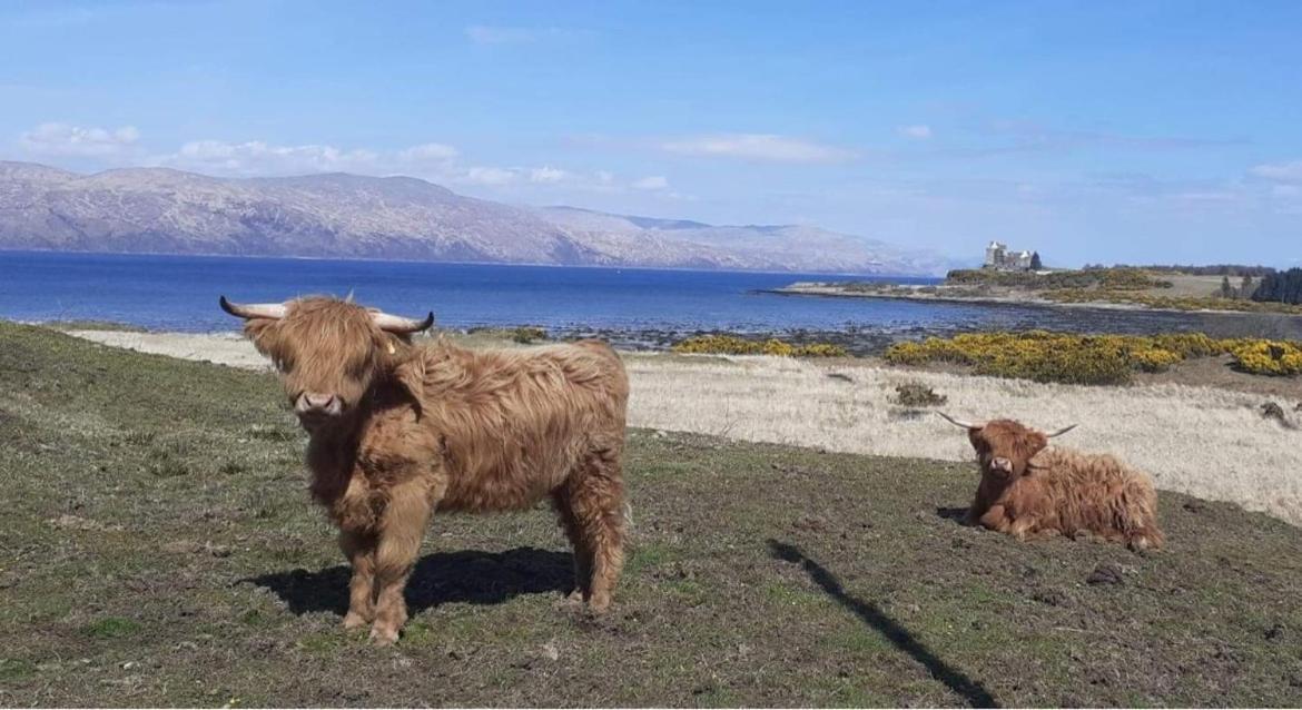Ard Na Mara Self Catering Isle Of Mull Villa Dervaig Bagian luar foto